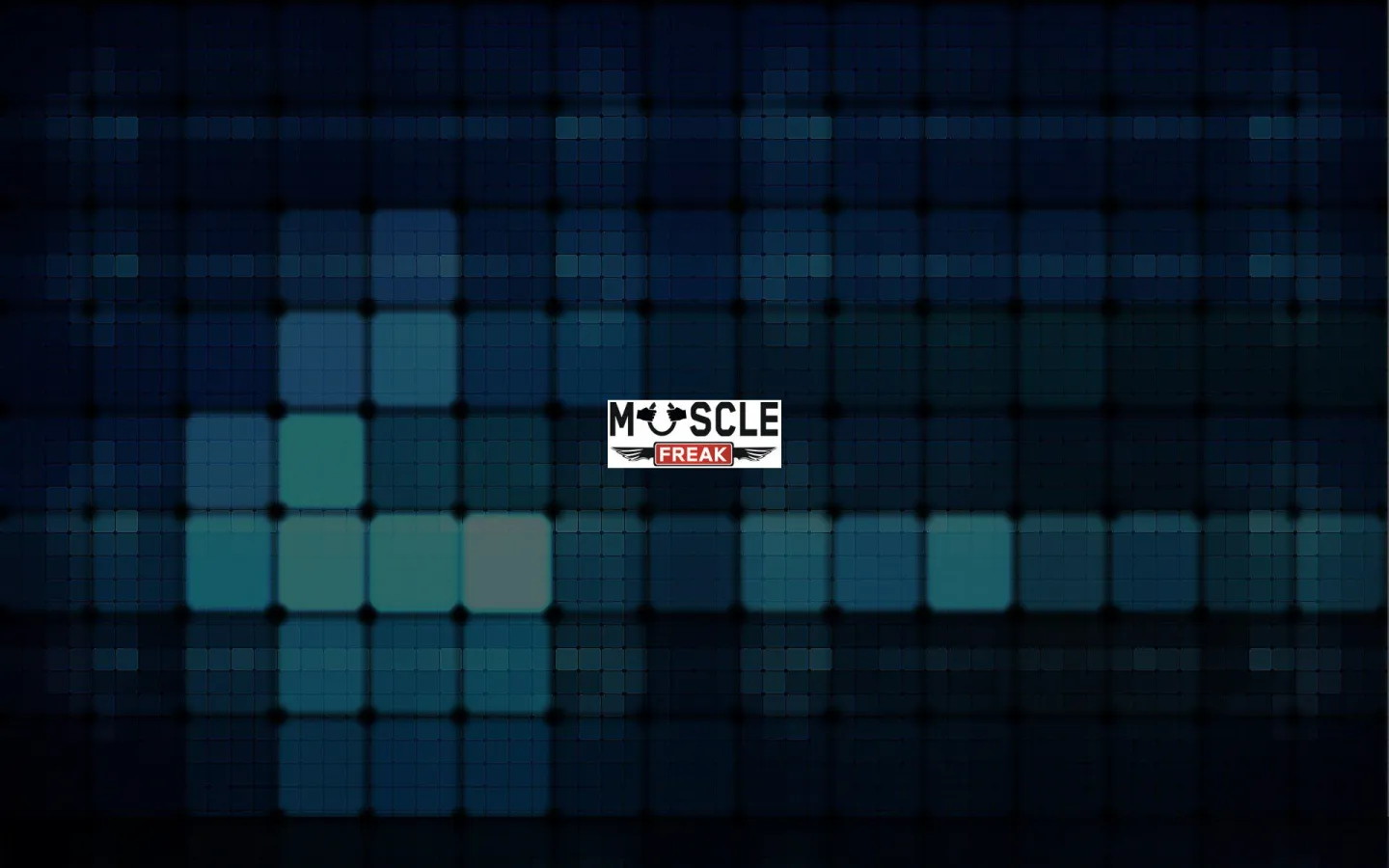 Muscle Freak - CRM